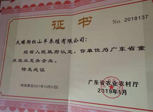 廣東省重點(diǎn)農(nóng)業(yè)龍頭企業(yè)